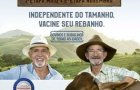 Sanidade  animal